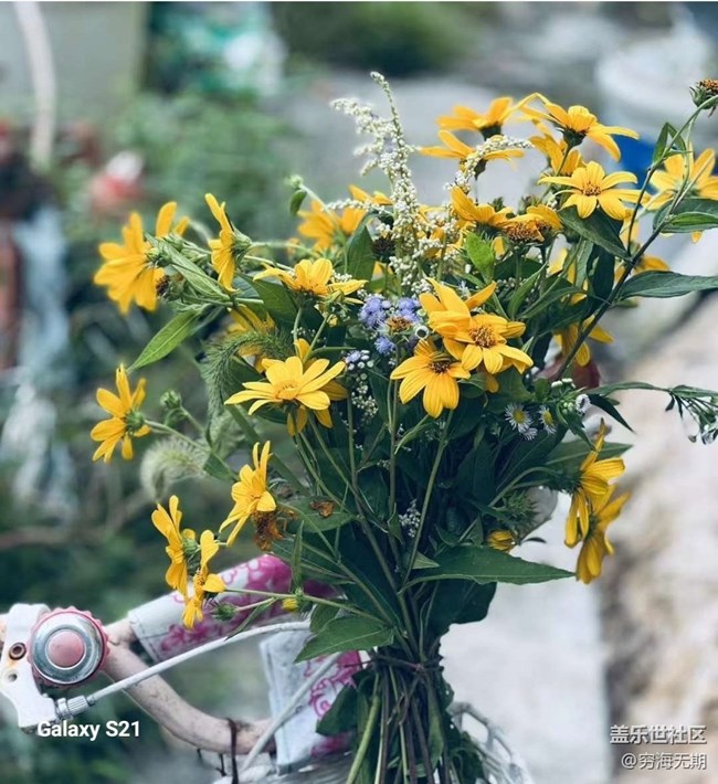 【拾秋鏡畫】參加活動