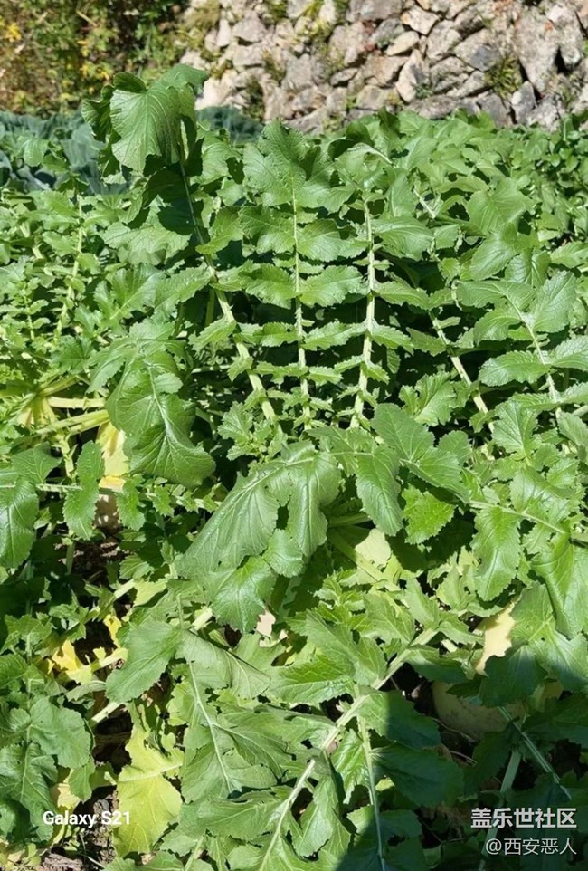 【拾秋鏡畫】暖陽