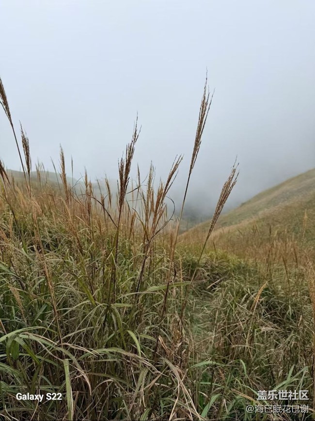 【拾秋鏡畫(huà)】秋天攀爬