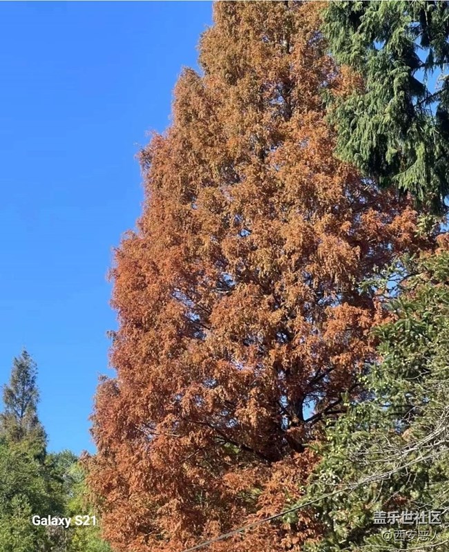 【拾秋鏡畫】暖陽