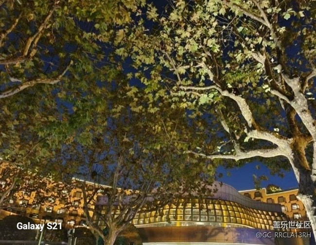 【拾秋鏡畫】杭城秋夜