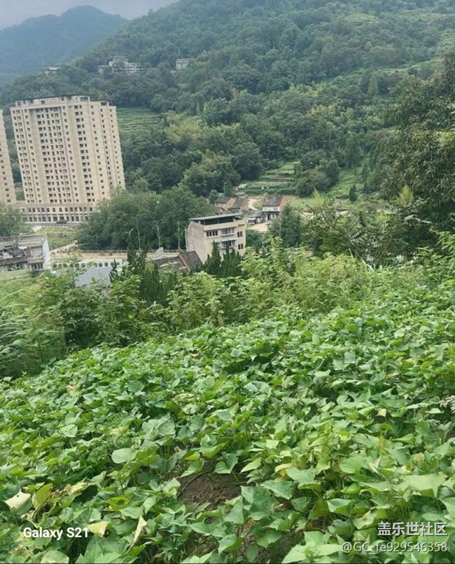 【拾秋鏡畫】秋季登山
