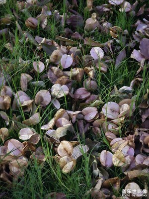 【秋尾拾光】+繽紛秋色