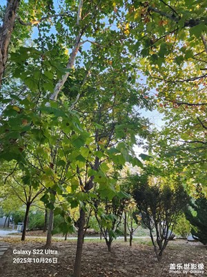 秋尾拾光 秋色正濃