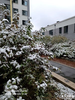 【秋尾拾光】+繽紛秋色