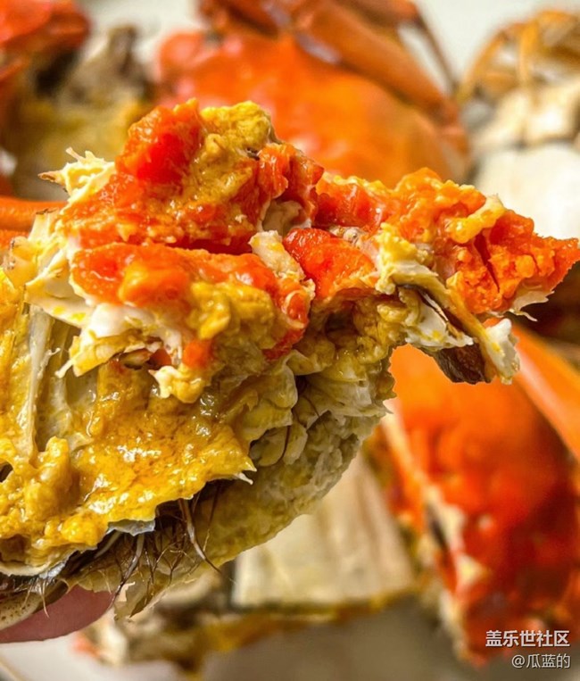 【霜華食記】螃蟹配酒