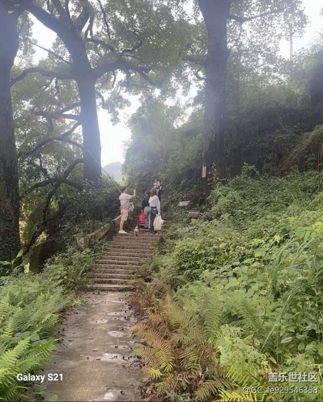 【拾秋鏡畫】秋季登山