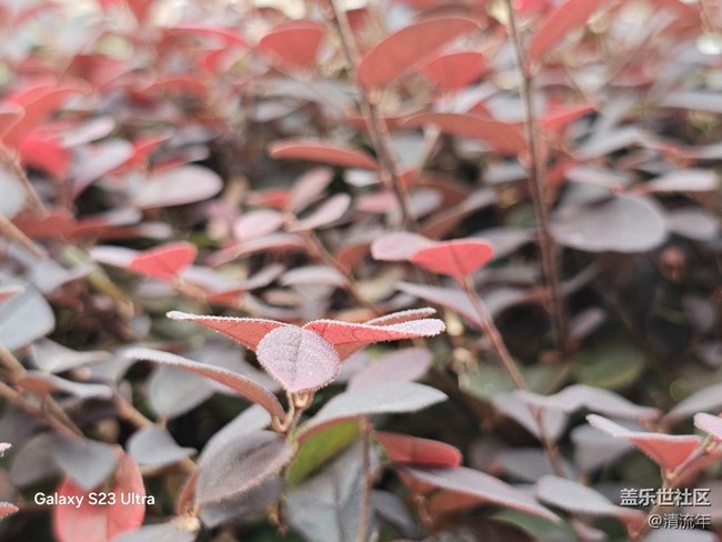 【拾秋鏡畫(huà)】悠閑時(shí)間