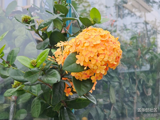 【秋影拾光】天晴氣爽