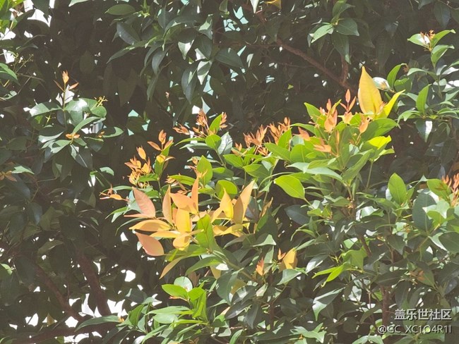 【秋天的明信片】秋高氣爽