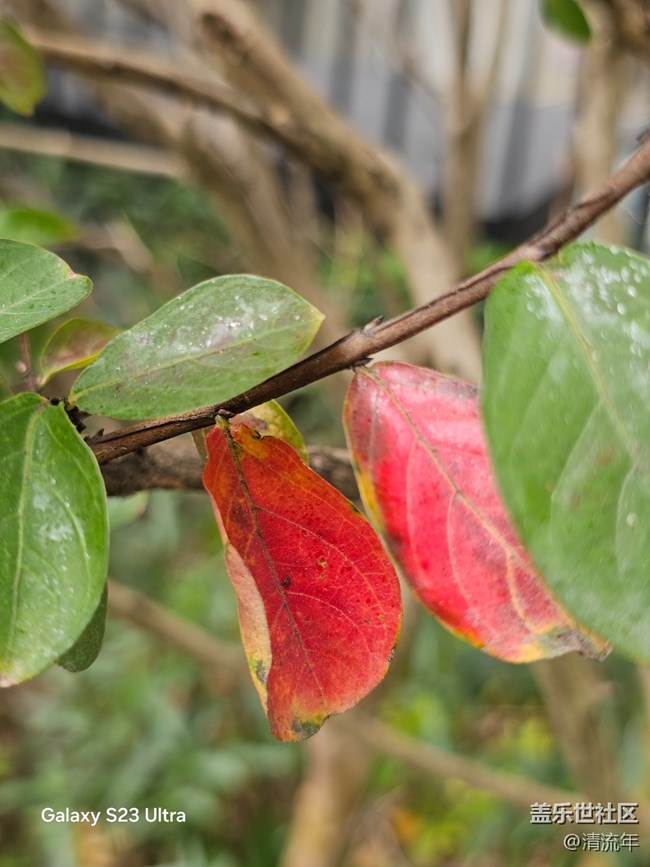 【拾秋鏡畫(huà)】悠閑時(shí)間