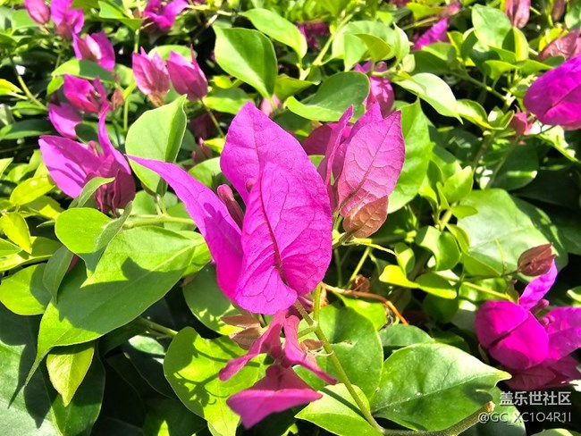 【秋天的明信片】秋高氣爽