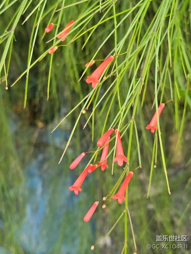 【秋天的明信片】秋高氣爽