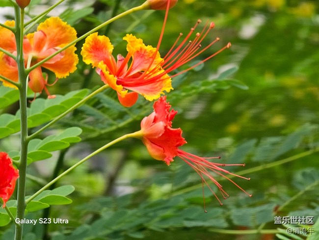 【拾秋鏡畫(huà)】悠閑時(shí)間