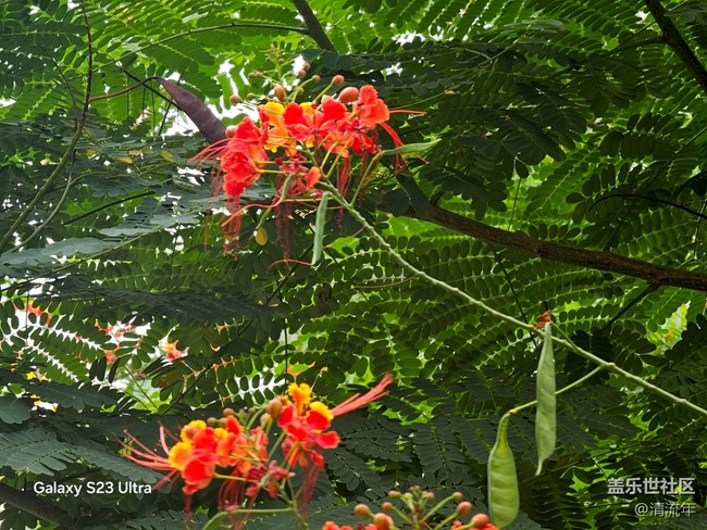 【拾秋鏡畫(huà)】悠閑時(shí)間