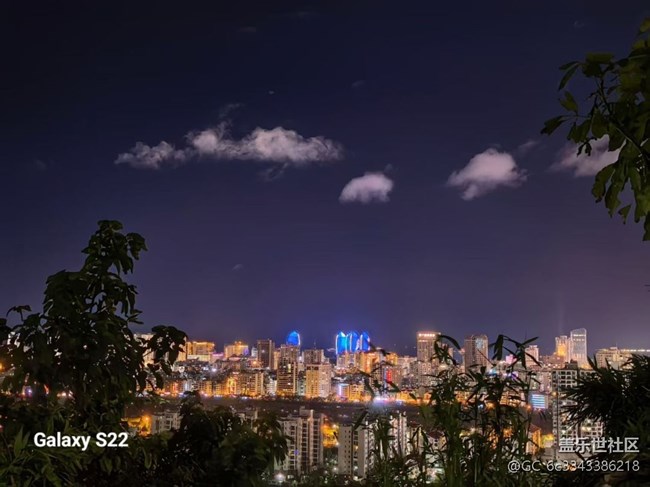 【拾秋鏡畫】森林公園