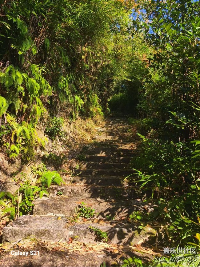 【拾秋鏡畫】周末去賞秋