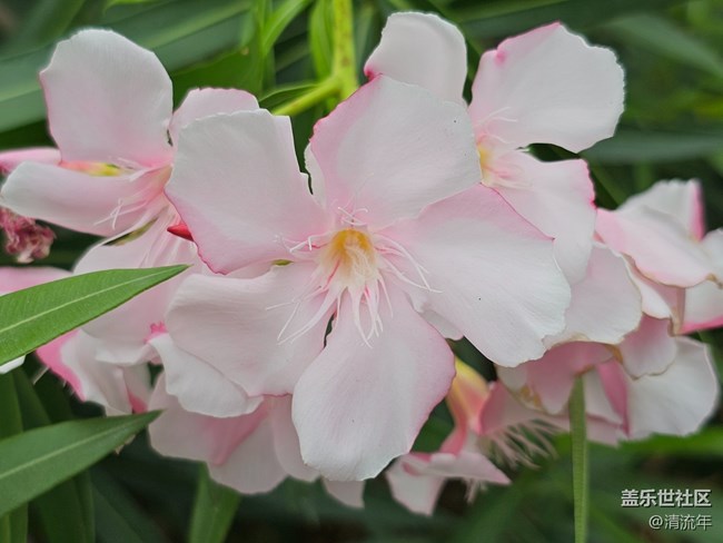 【秋影拾光】天晴氣爽