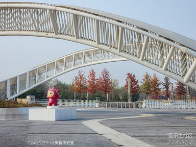 已開獎【攝影版塊十一月第一周】奇妙的視角