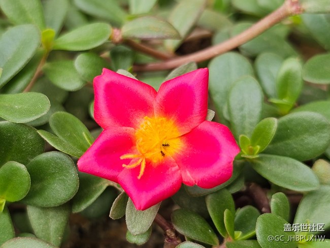 【秋天的明信片】十月色彩