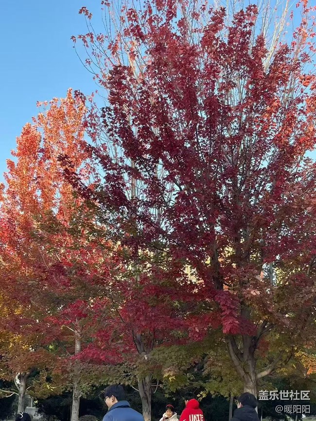 【秋季采風(fēng)計劃】秋風(fēng)執(zhí)筆，楓葉蘸染霞光。