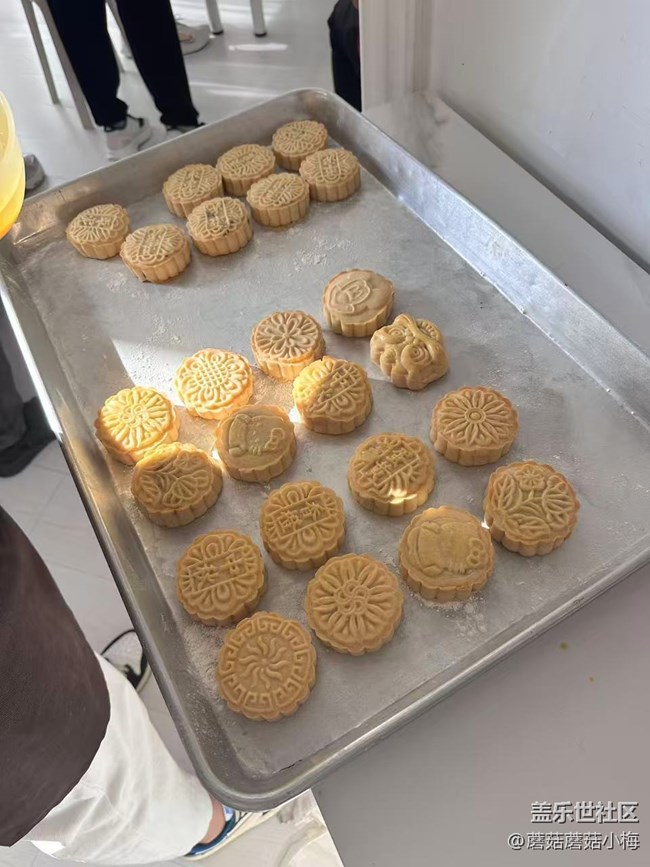 【回顧貼】沈陽星部落蓋樂世社區(qū)十周年：一路同行，收獲滿程