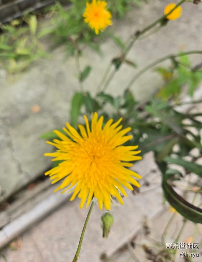 【與秋天合個影】秋日里的色彩