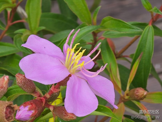 【秋天的明信片】十月色彩