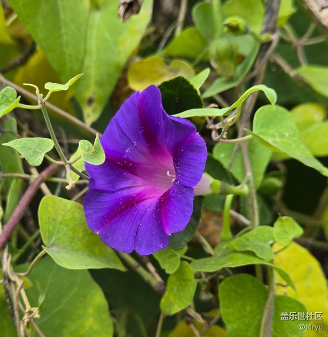 【與秋天合個影】秋日里的色彩