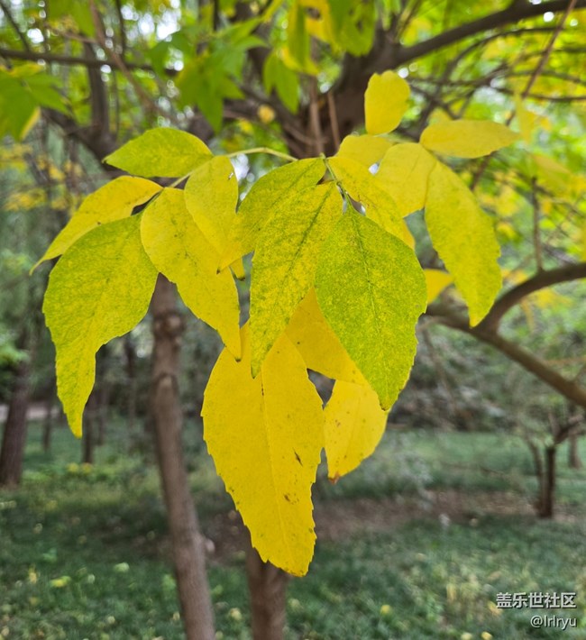 【與秋天合個影】秋日里的色彩