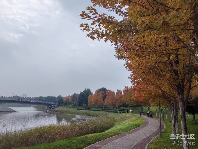 【與秋天合個影】秋意正濃，木葉盡染