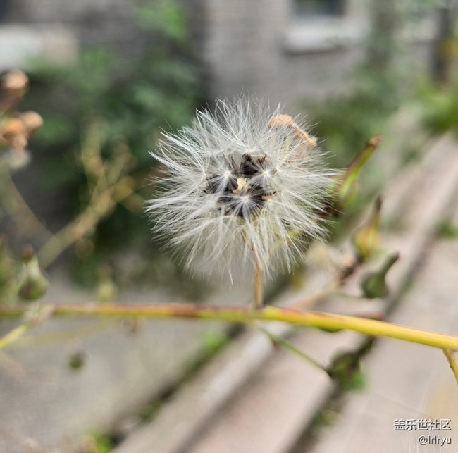 【與秋天合個影】秋日里的色彩