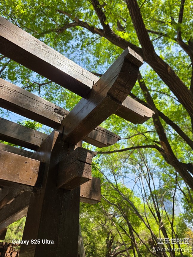 星粉在一起~中山公園一日游！