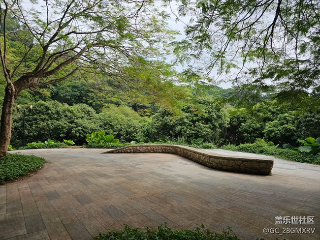 【與秋天合個(gè)影】公園閑逛