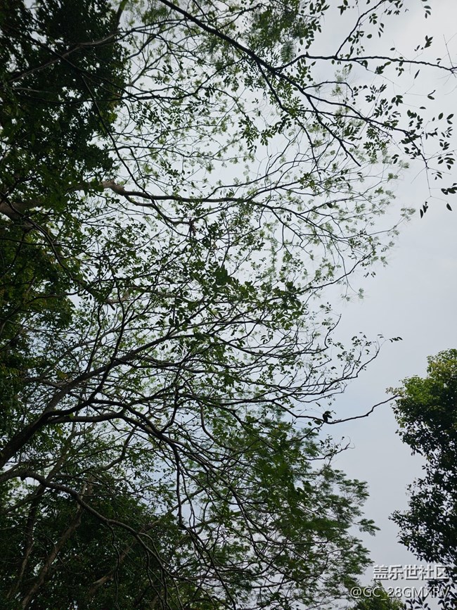 【與秋天合個(gè)影】公園閑逛