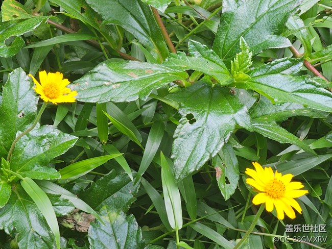 【與秋天合個(gè)影】公園閑逛