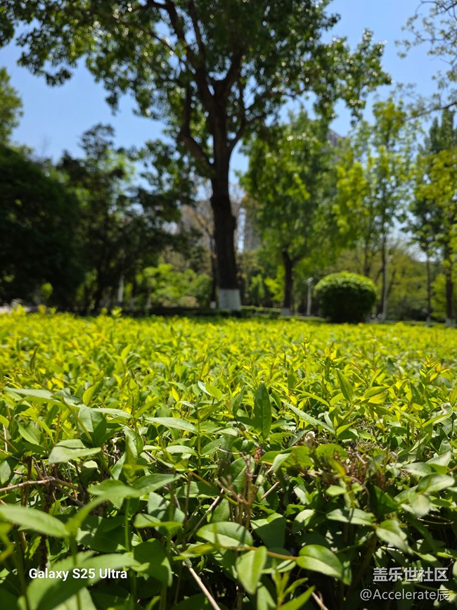 星粉在一起~中山公園一日游！