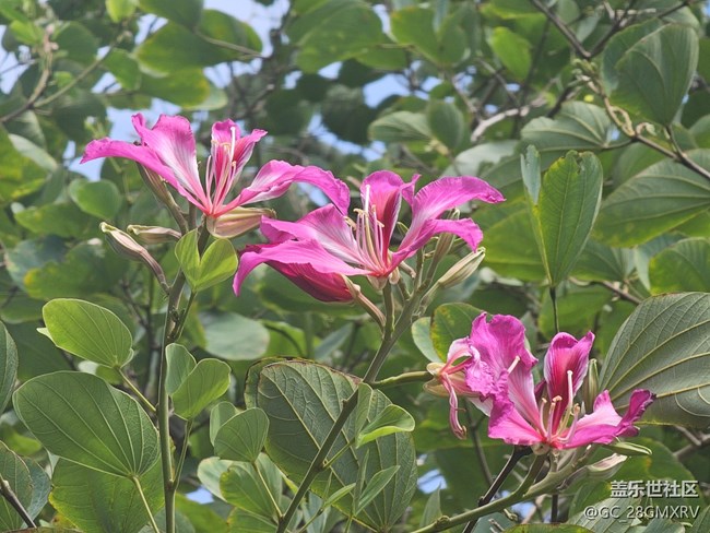 【秋影拾光】一路風景