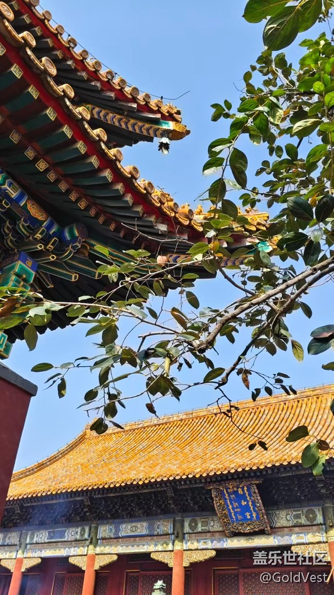 【與秋天合個影】秋日的北京