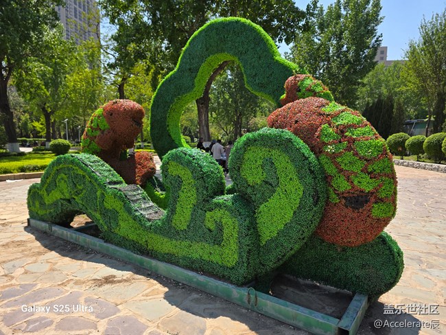 星粉在一起~中山公園一日游！