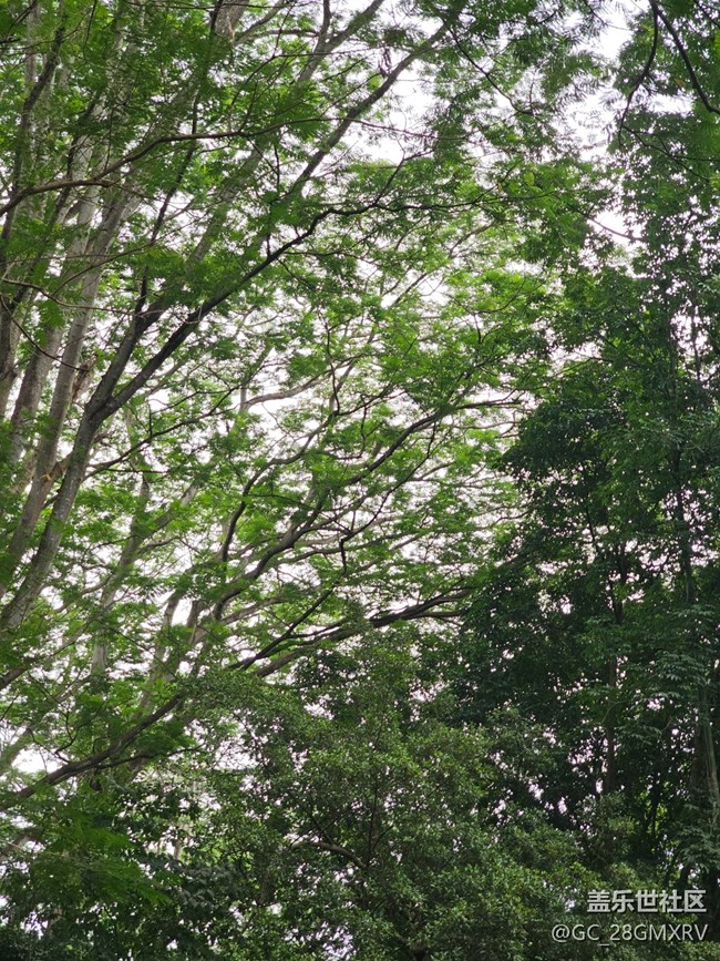 【與秋天合個(gè)影】公園閑逛