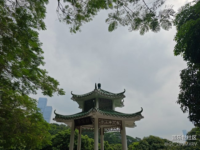 【與秋天合個(gè)影】公園閑逛