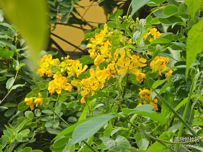 【秋天的明信片】回家路上