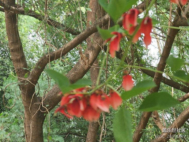 【秋影拾光】一路風景
