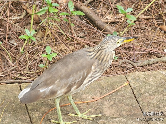 【與秋天合個(gè)影】公園閑逛