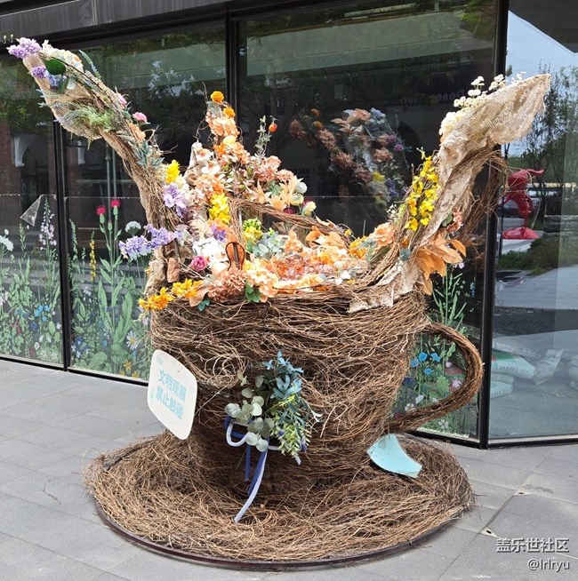 【世間的美好】身邊的美好時刻