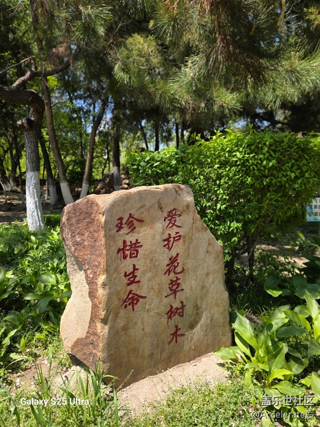 星粉在一起~中山公園一日游！