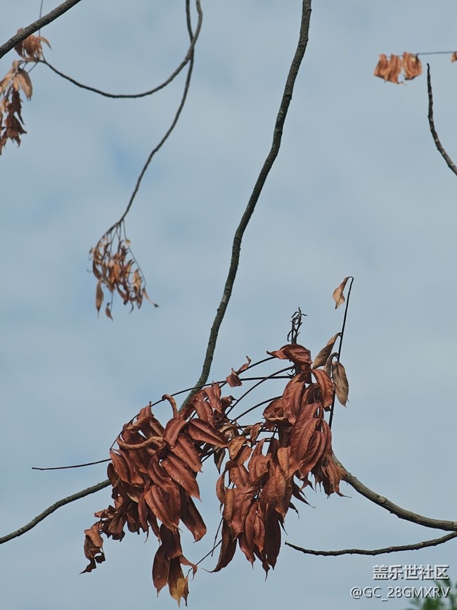 【秋影拾光】一路風景