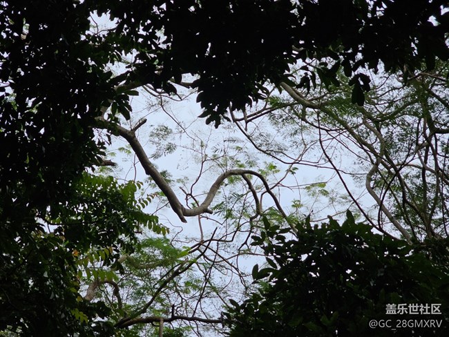 【與秋天合個(gè)影】公園閑逛