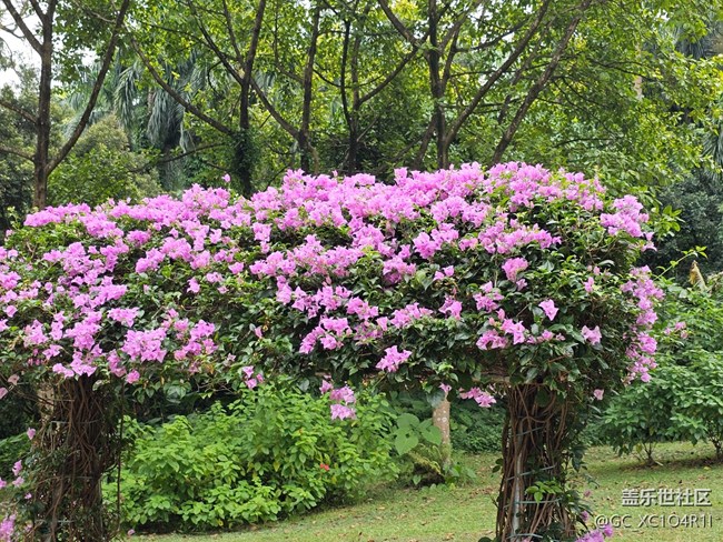 【秋影拾光】秋天